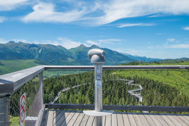 Chodn K Korunami Stromov Bachledka Objavte Tatry Z Kor N Stromov