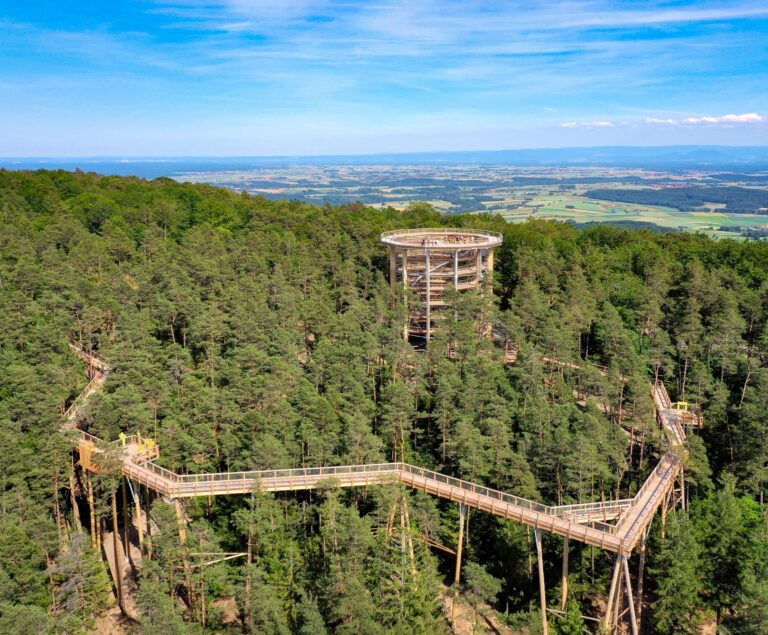 France’s First Treetop Walk Alsace