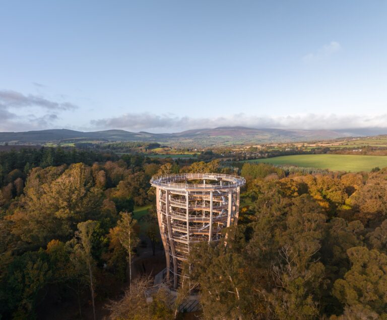 Avondale Forest Treetop Walk