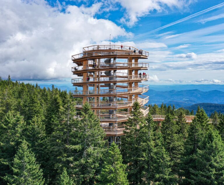 Pohorje Treetop Walk