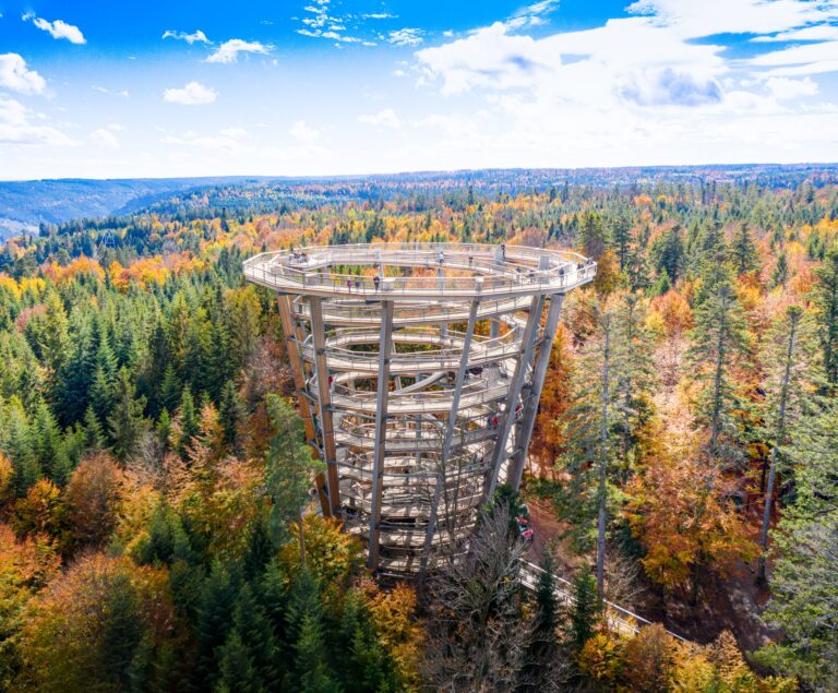 Black Forest Treetop Walk Schwarzwald